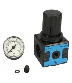 Régulateur de pression WH-R1-1/4-10-M TIMMER - Image originale Endevor