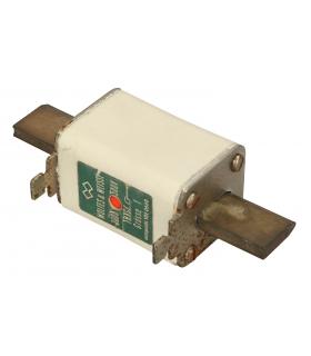 WOLFWES & WEISSE FUSE 300A500V (WITH RUST DEFECT) - Image 1